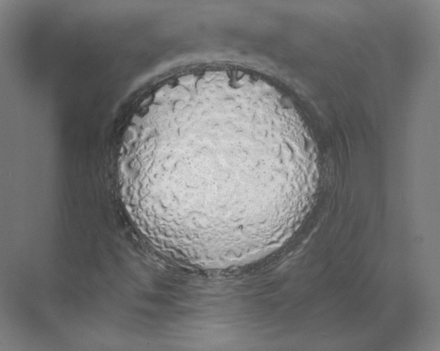 X0000068841494200606021655