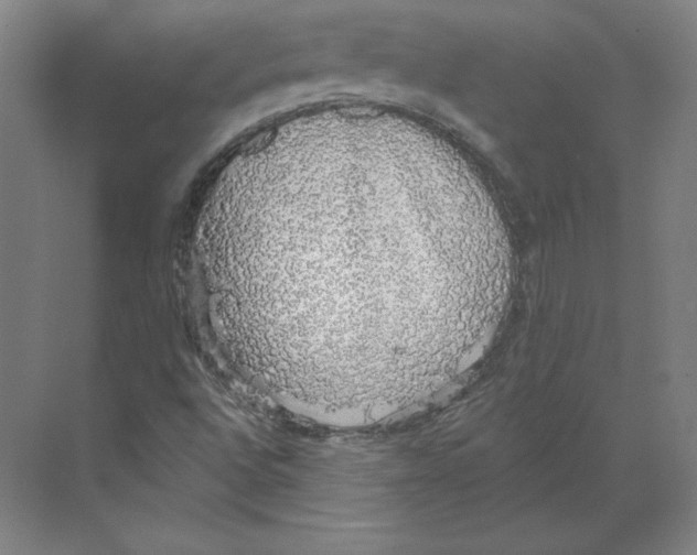 X0000068841496200606021655