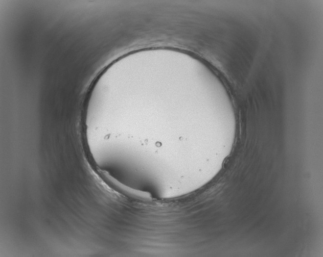 X0000068841500200606021655