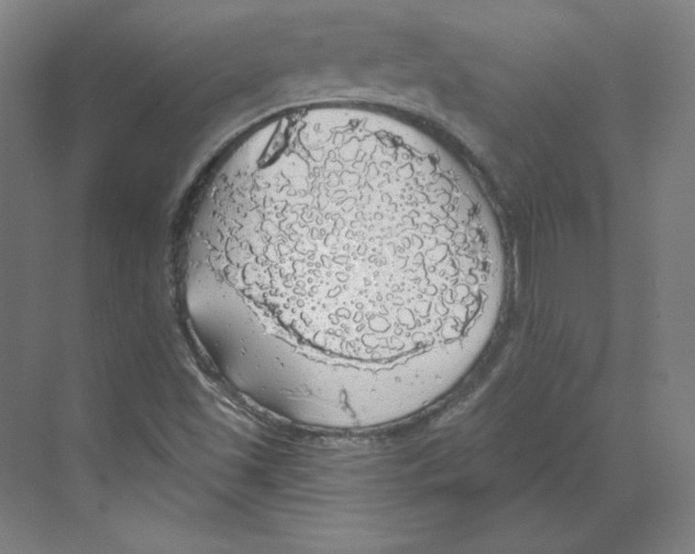 X0000068841501200606021655