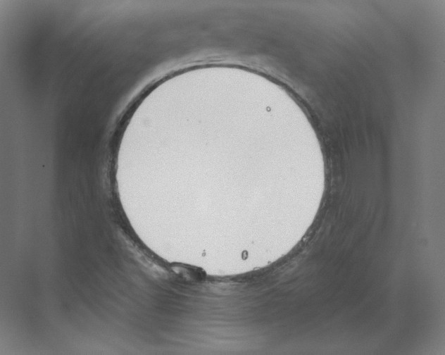 X0000068841502200606021655