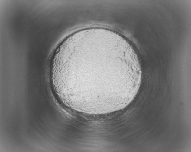 X0000068841504200606021655