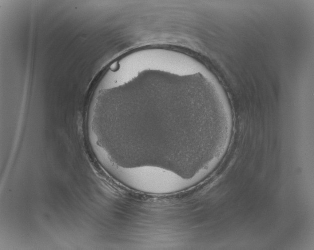 X0000068841505200606021655