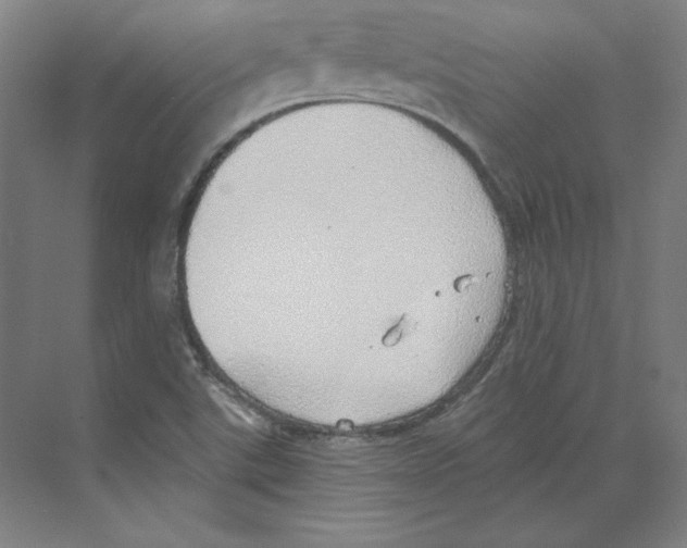 X0000068841507200606021655