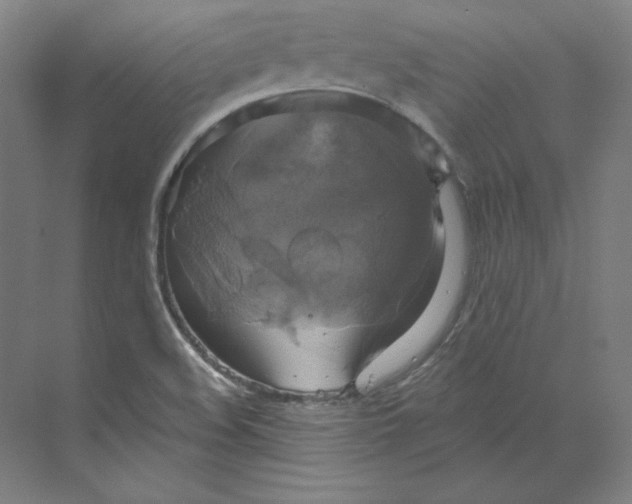 X0000068841508200606021655