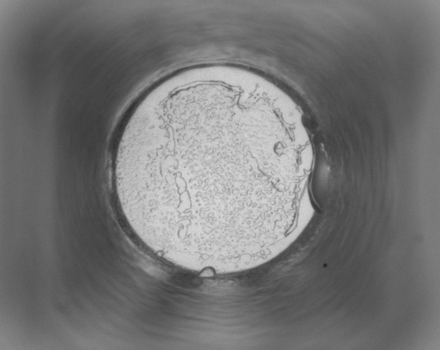 X0000068841509200606021655