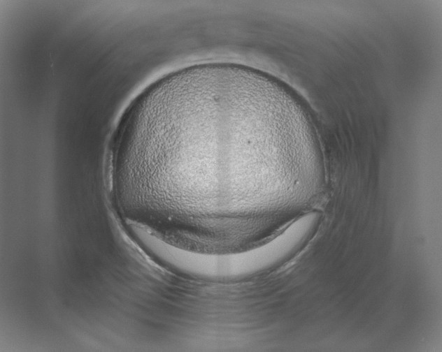 X0000068841510200606021655