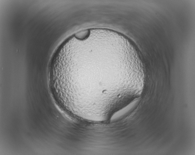 X0000068841511200606021655