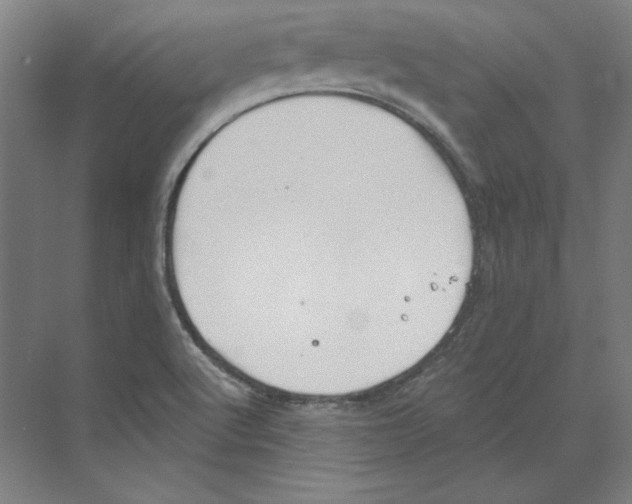 X0000068841512200606021655