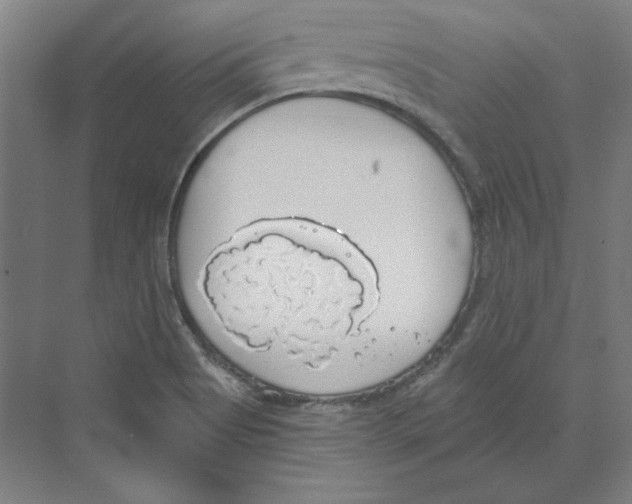 X0000068841513200606021655