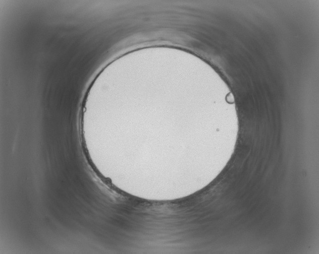 X0000068841516200606021655