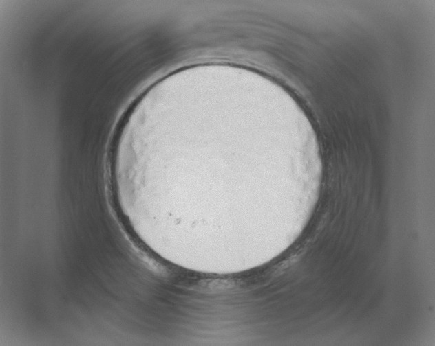 X0000068841517200606021655