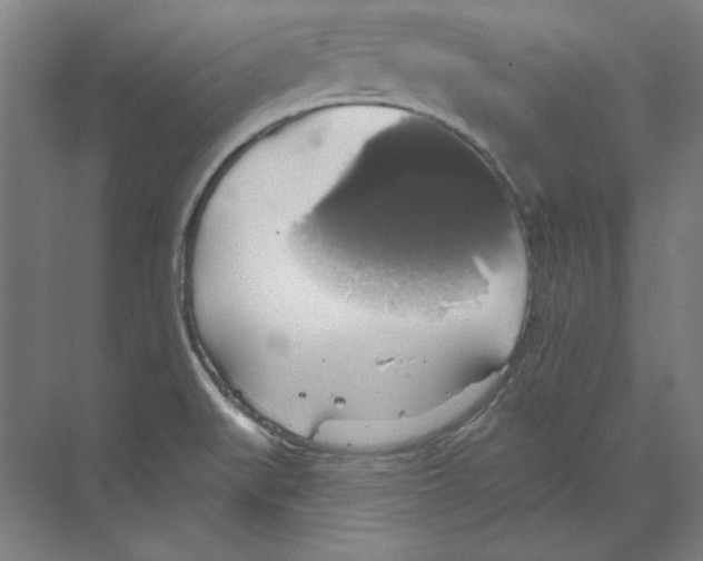 X0000068841519200606021655