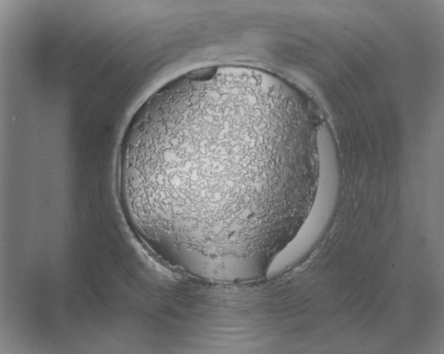 X0000068841520200606021655