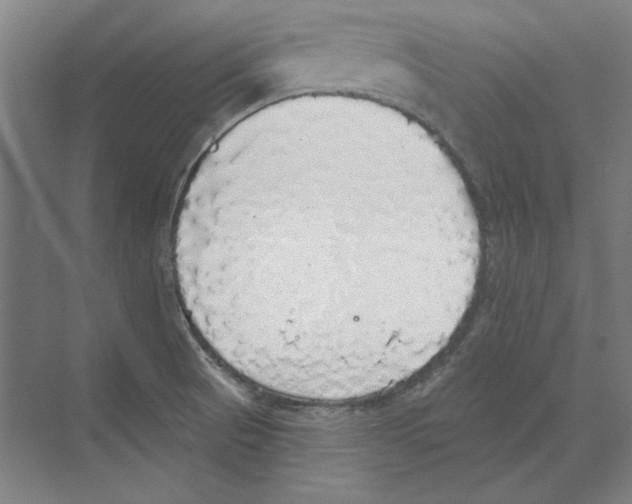 X0000068841521200606021655