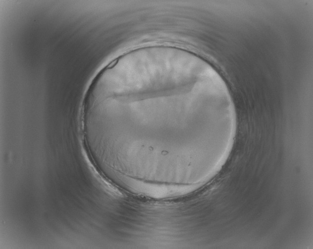 X0000068841522200606021655