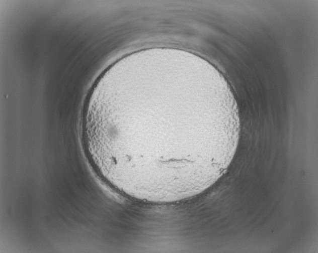 X0000068841523200606021655