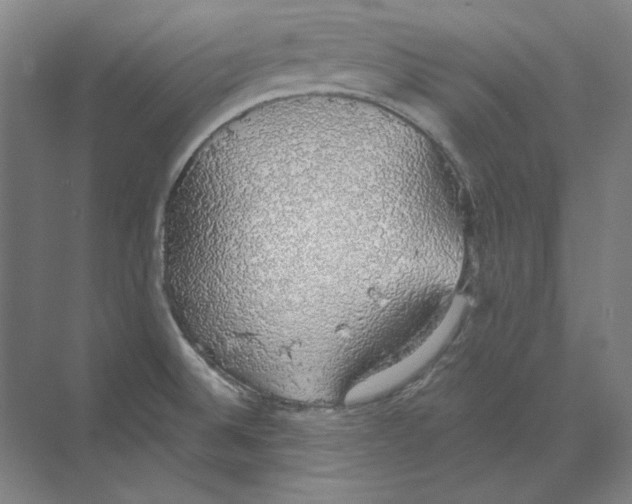 X0000068841524200606021655