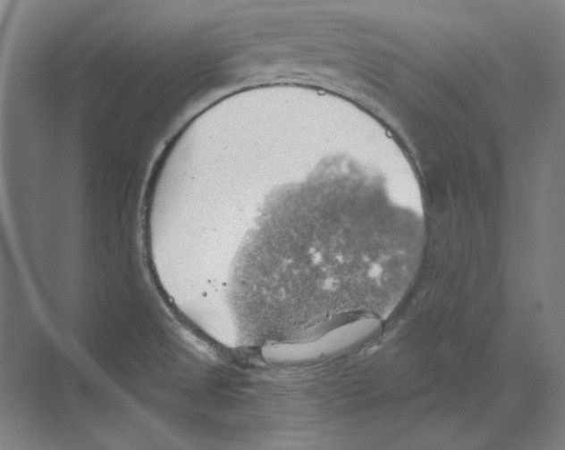 X0000068841525200606021655