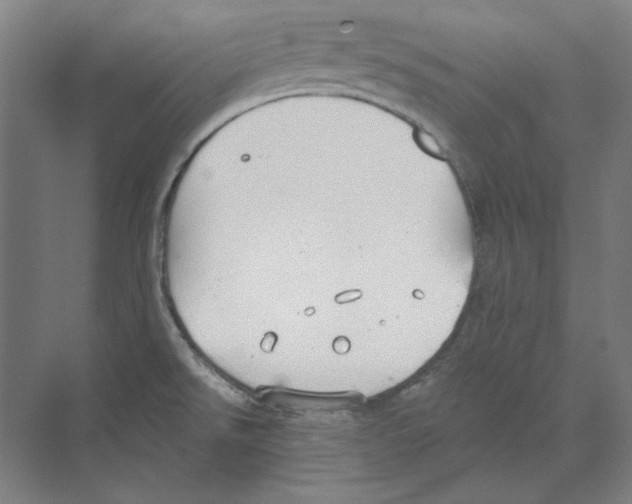 X0000068841526200606021655