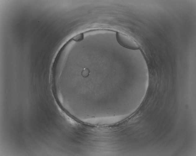 X0000068841527200606021655