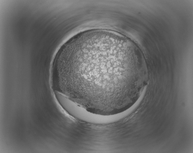 X0000068841528200606021655