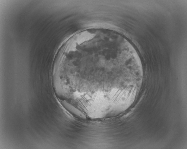 X0000068841529200606021655