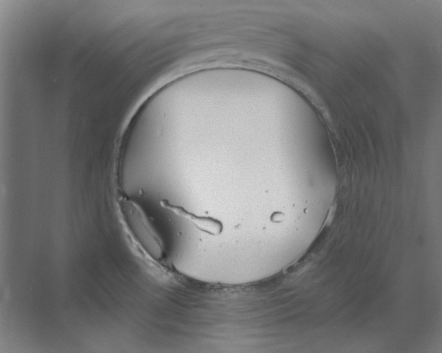 X0000068841530200606021655