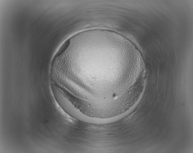 X0000068841532200606021655