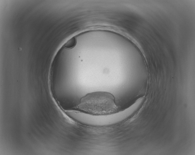 X0000068841533200606021655