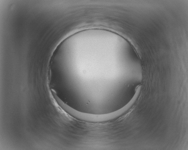 X0000068841534200606021655