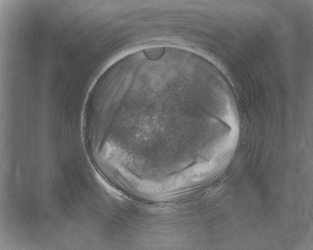 X0000068841535200606021656