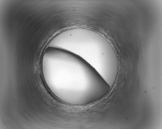 X0000068850002200605051030