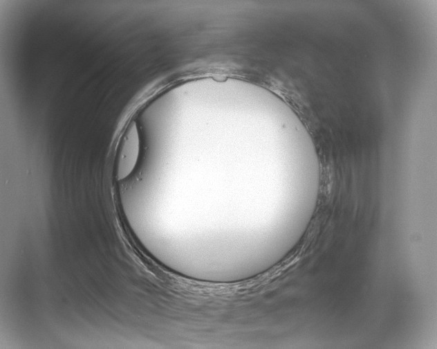 X0000068850004200605051030