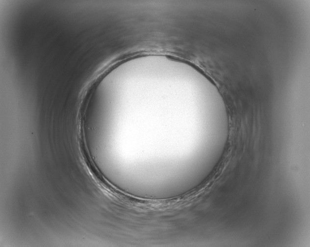 X0000068850005200605051030