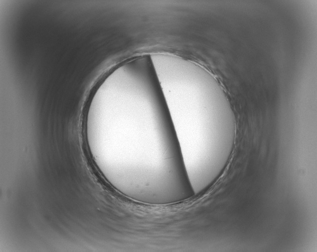 X0000068850006200605051029
