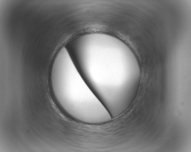 X0000068850010200605051029