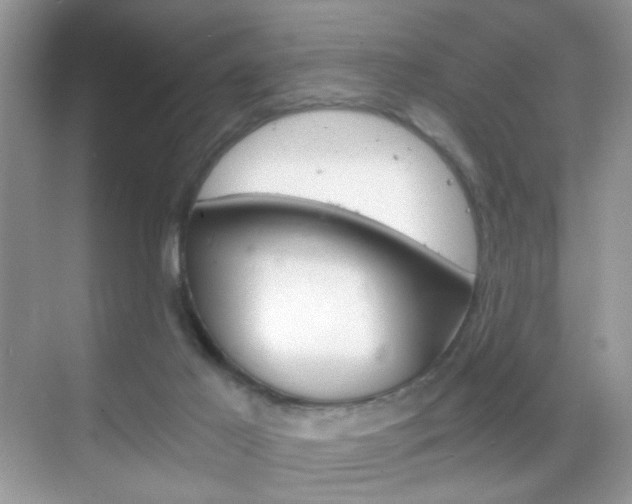 X0000068850021200605051029