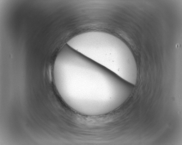 X0000068850022200605051029
