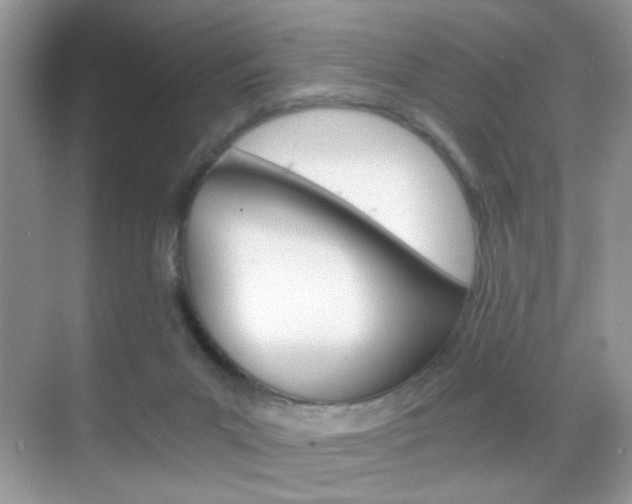 X0000068850023200605051029