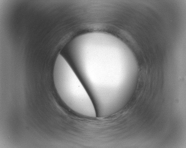 X0000068850024200605051029