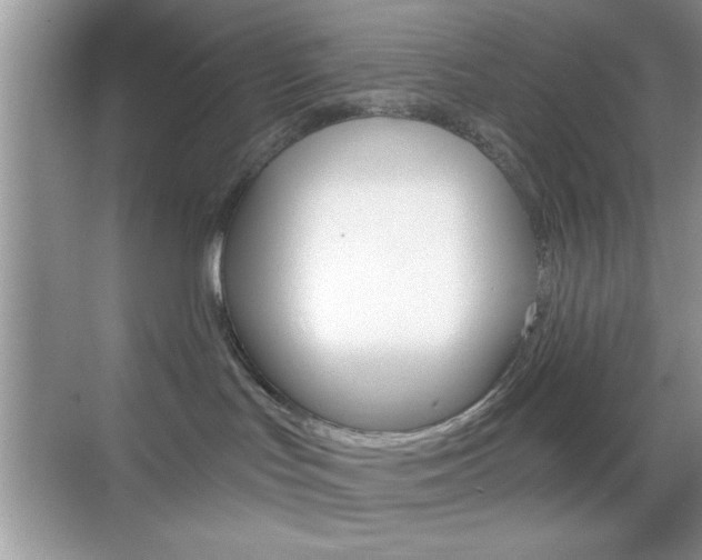 X0000068850047200605051029