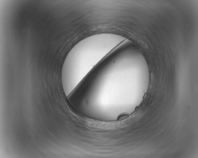 X0000068850048200605051029