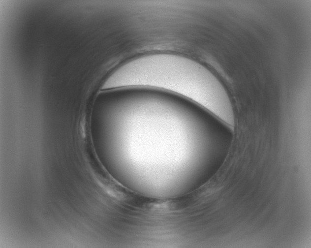 X0000068850068200605051028