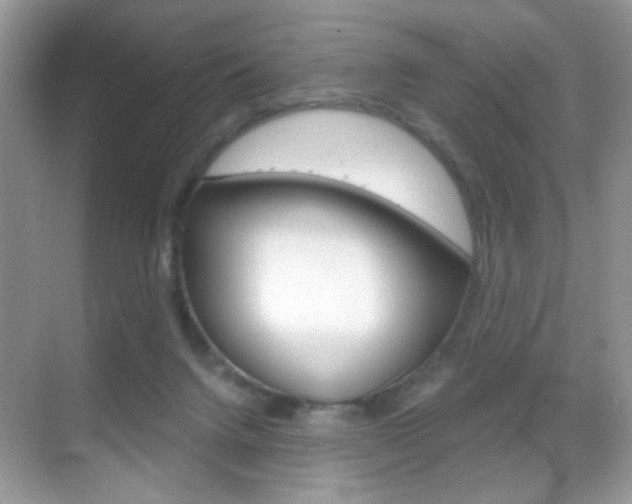 X0000068850072200605051028
