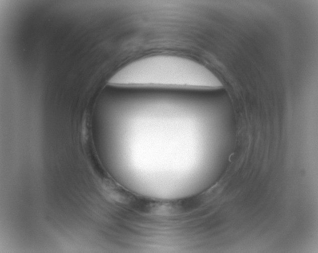 X0000068850074200605051028
