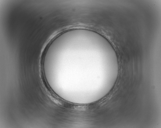 X0000068850102200605051028