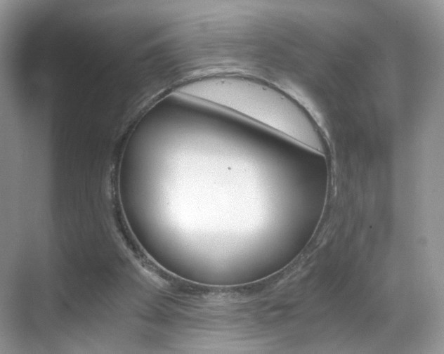 X0000068850105200605051028