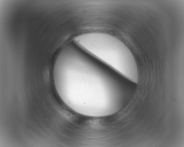 X0000068850120200605051028