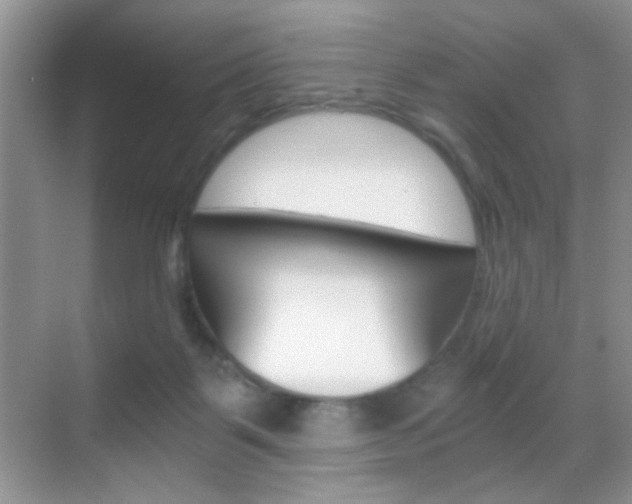 X0000068850123200605051028